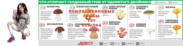 ГАЛЛЮЦИНОГЕННЫЕ ГРИБЫ Балахна