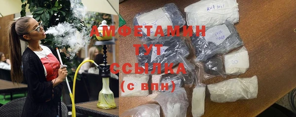 ГАЛЛЮЦИНОГЕННЫЕ ГРИБЫ Балахна