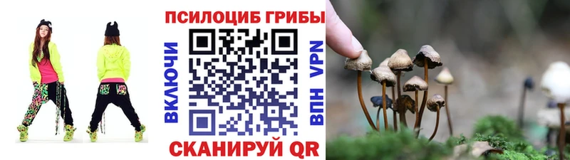 магазин продажи   Афипский  сайты даркнета наркотические препараты  Галлюциногенные грибы прущие грибы  кракен ССЫЛКА 