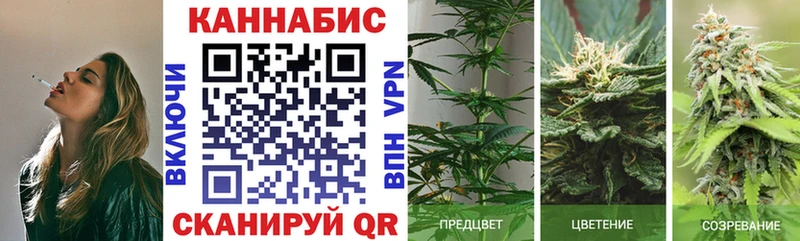 Каннабис Ganja  Афипский 